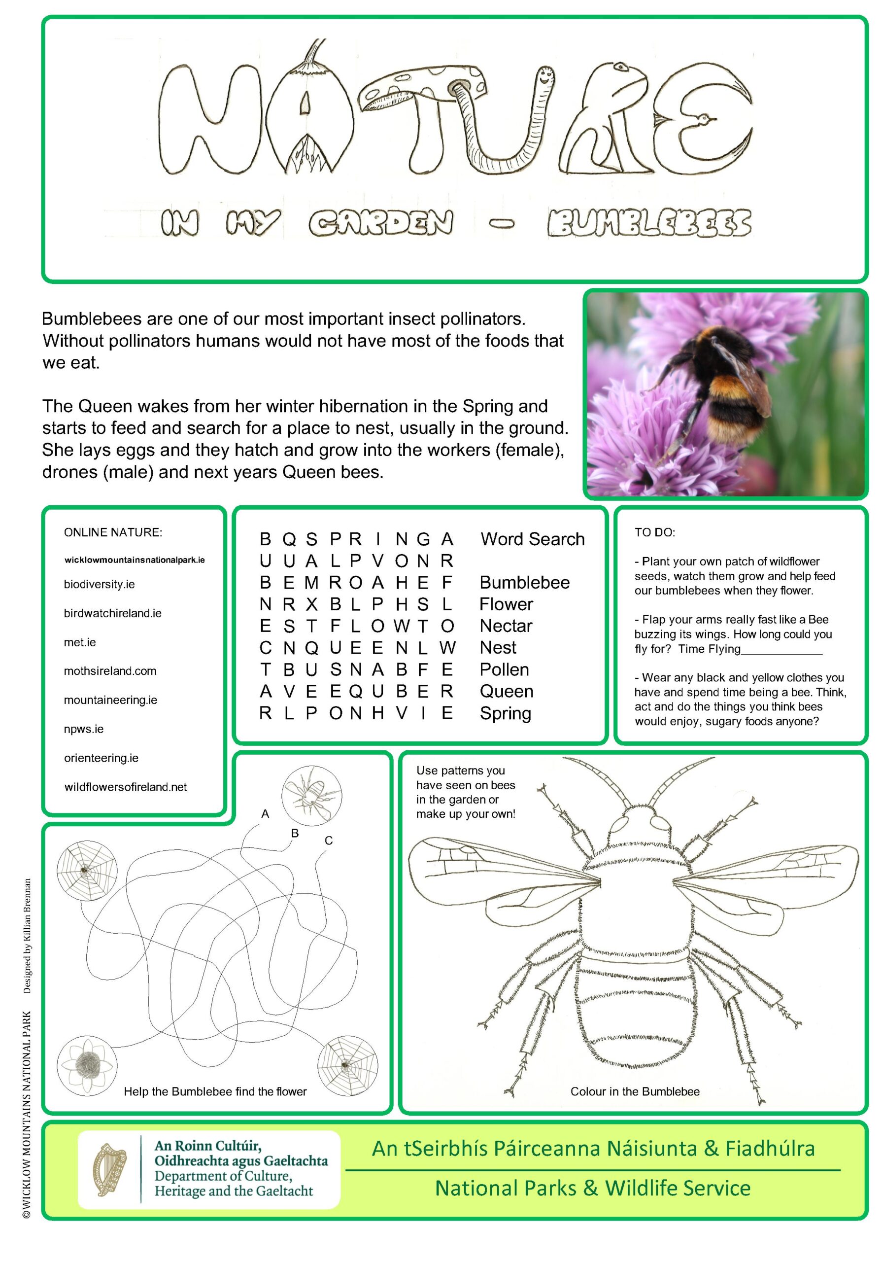 the living earth worksheet